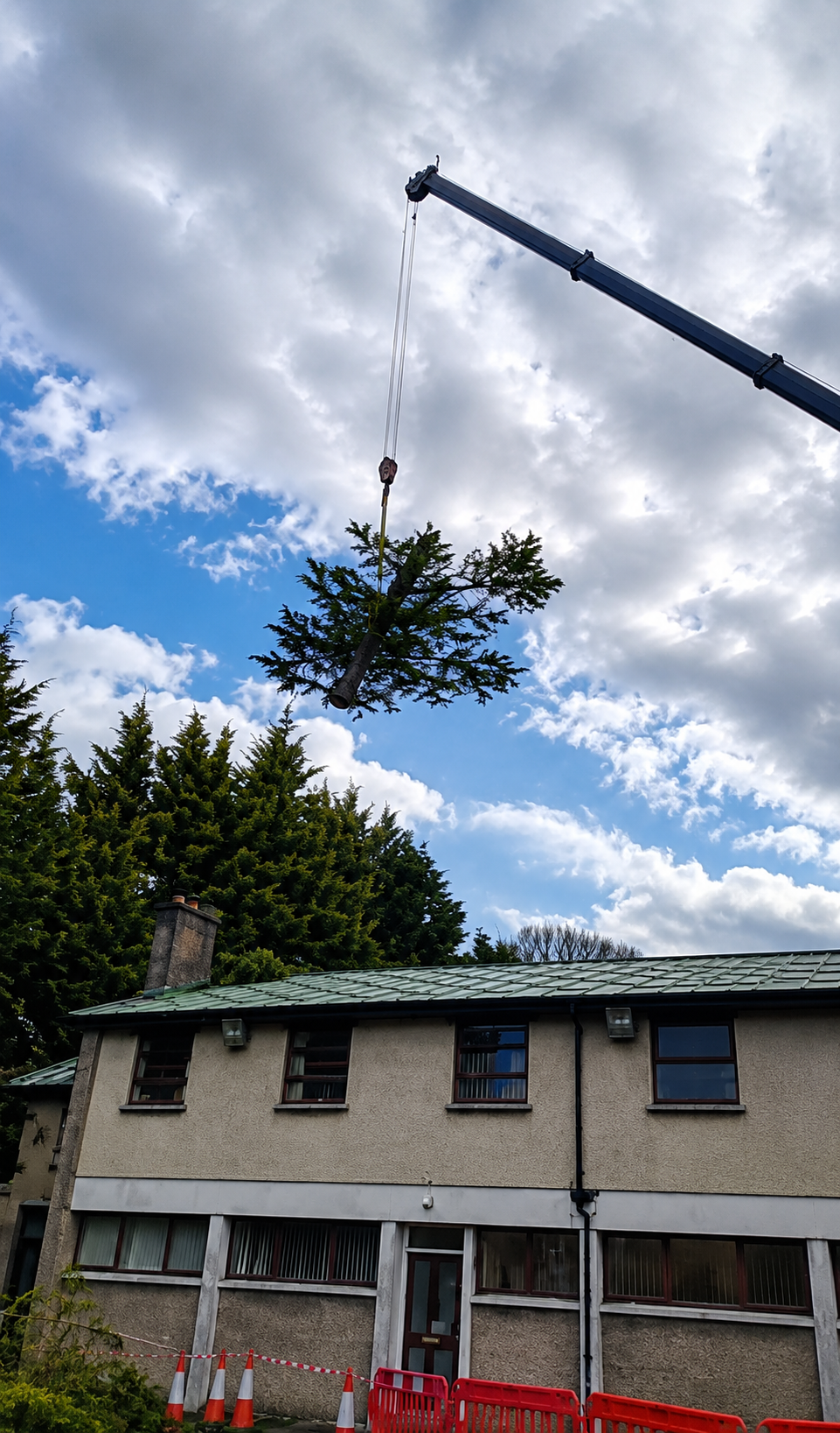 Emergency Tree Work
