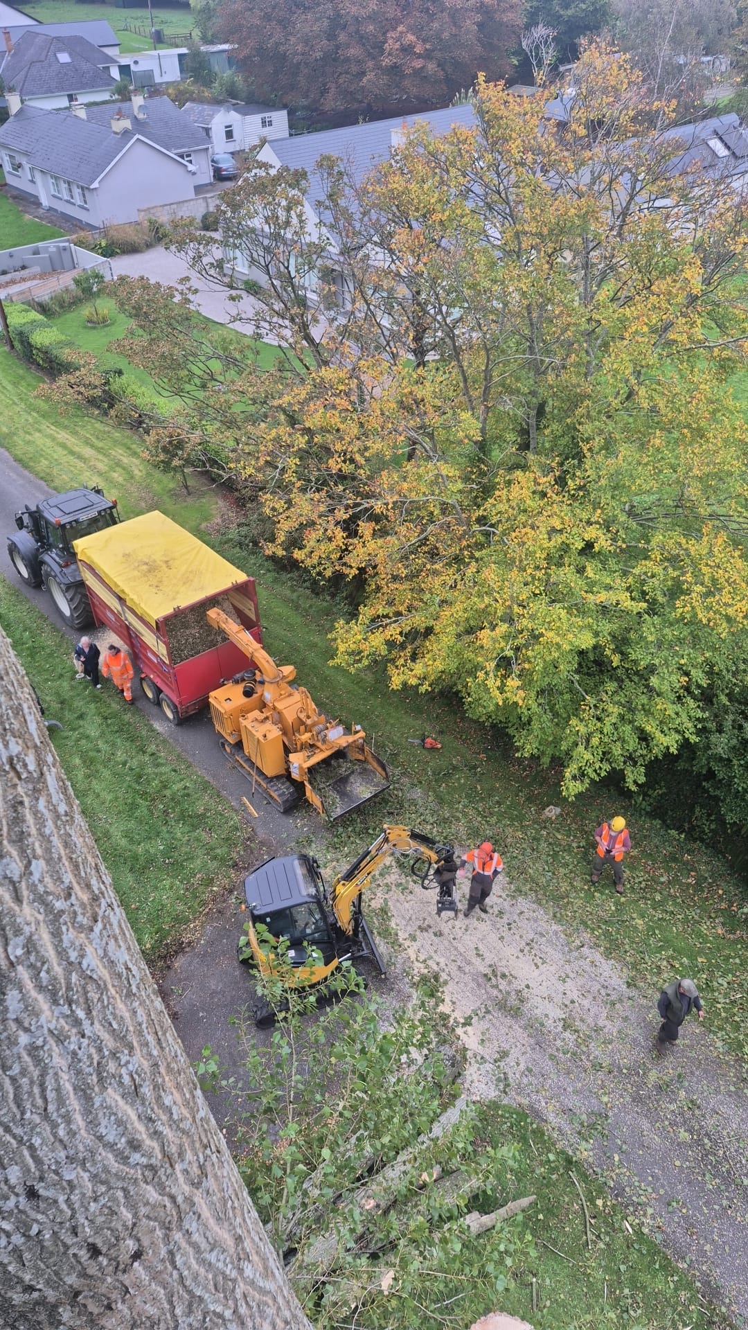 Site Clearance